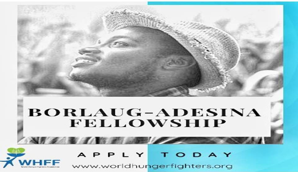 Borlaug-Adesina Fellowship Program