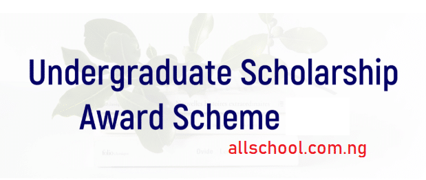 nile university scholarship