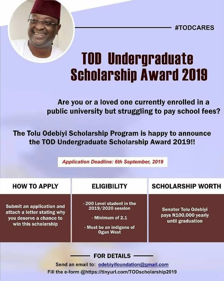 TOD Undergraduate Scholarship
