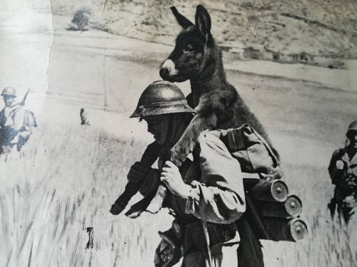 asuu and world war II picture