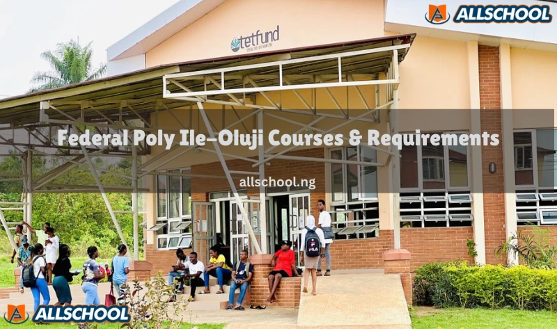 Federal Poly Ile-Oluji Courses and Requirements [UPDATED]